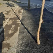 Útépítők körbeaszfaltoztak majd kivágtak két facsemetét Sepsiszentgyörgyön